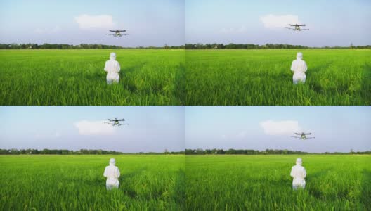 科学家们正在稻田里驾驶无人机进行科学实验。高清在线视频素材下载