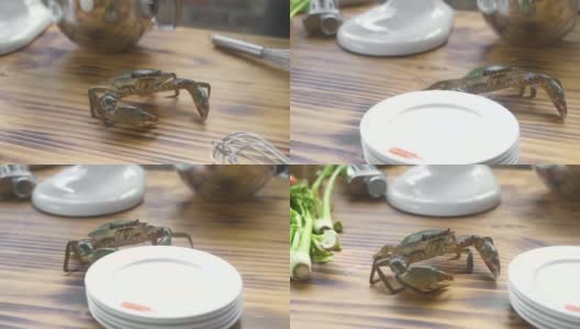 螃蟹在海鲜餐厅厨房的木桌上爬行。活螃蟹在餐桌上奔跑，食物配料为背景。海鲜的概念高清在线视频素材下载