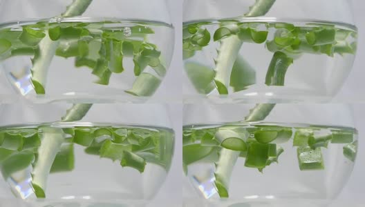 芦荟植物水碗背景高清在线视频素材下载