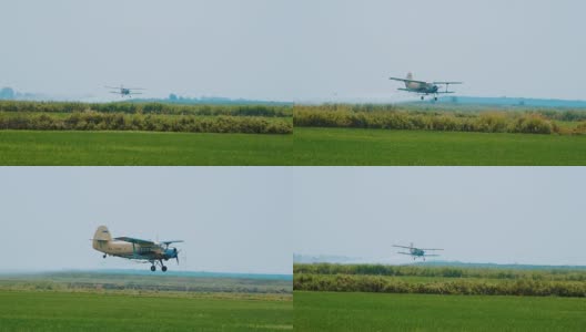 农业航空。农业飞机在稻田喷洒农药高清在线视频素材下载