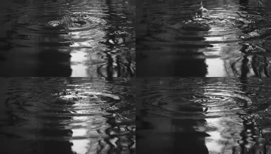 Spring Rainy Drops Splash Slow Motion Video高清在线视频素材下载