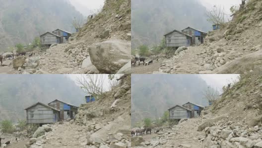 马纳斯鲁环行路上的尼泊尔村庄。高清在线视频素材下载