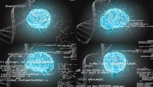 人类大脑，DNA螺旋和接口代码高清在线视频素材下载