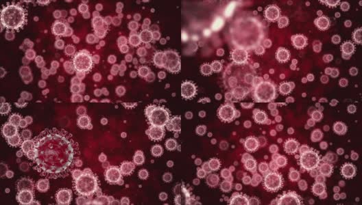 冠状病毒COVID - 19新型冠状病毒与人体内的红细胞高清在线视频素材下载