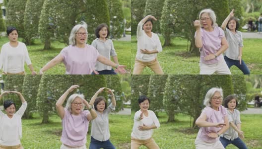 活跃的老年妇女在公园打太极高清在线视频素材下载