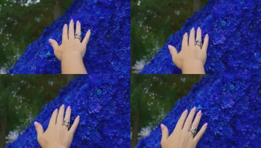 一个女人的手画着漂亮的指甲，戴着银戒指，几乎没有碰到蓝色花朵的花瓣高清在线视频素材下载