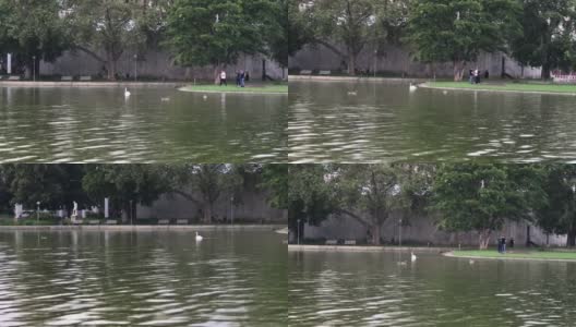 人们在夏季多雨的市中心观赏花园西欧放松高清在线视频素材下载