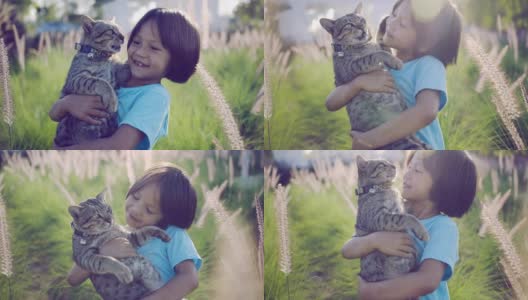 亚洲小女孩在花园里夏天。孩子在户外抱着小猫。高清在线视频素材下载