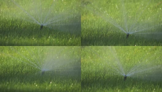 洒水车在房子附近的绿色草坪上洒水。洒水生活方式草洒水概念高清在线视频素材下载