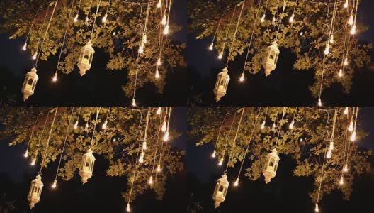 装饰仿古爱迪生风格的灯丝灯泡挂在树林里，玻璃灯笼，夜间装饰花园的灯，魔幻森林里，灯泡和辉光挂在森林的树上高清在线视频素材下载