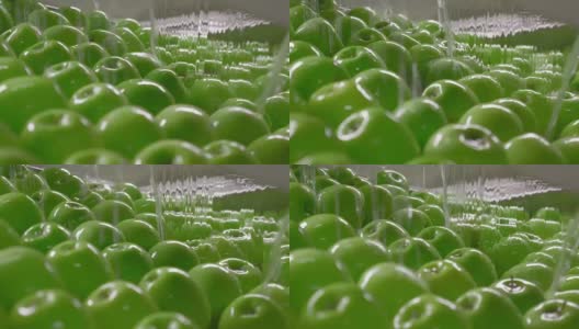 苹果的工业化种植、加工与贮藏高清在线视频素材下载