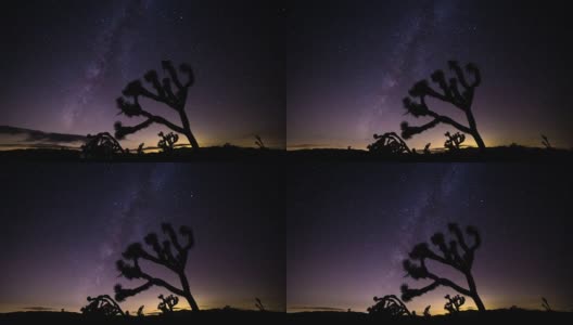 约书亚树和银河在英仙座流星雨期间的时间流逝高清在线视频素材下载