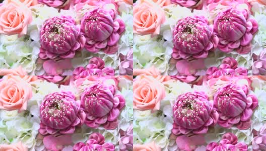 视频的粉红色玫瑰和荷花花束情人节的背景高清在线视频素材下载