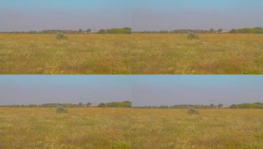 无人机坐在草地上，降落在田野里高清在线视频素材下载