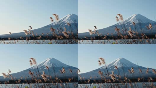 蓝天下的冬季富士山景观高清在线视频素材下载