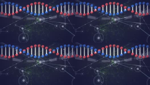 在黑色背景下，dna结构在连接网络上旋转的数字动画高清在线视频素材下载