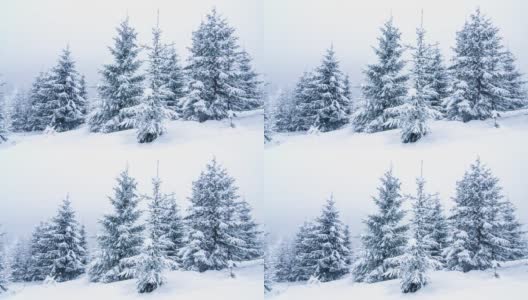 冰雪覆盖的树木构成了美丽的冬季景观。冬天的山。高清在线视频素材下载