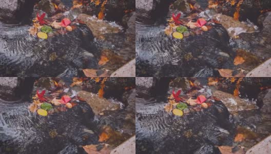 深秋的山谷——枫叶，落叶，碧水高清在线视频素材下载