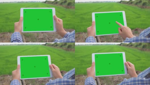 一位女农学家用平板电脑在绿色屏幕的数字平板电脑上工作高清在线视频素材下载