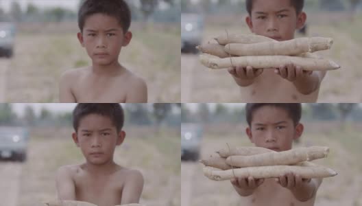 园丁男孩正在收割，并展示他手上的木薯高清在线视频素材下载