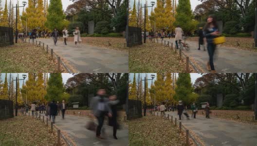 Time-lapse:行人挤在Time-lapse:日本东京Aoyama Meiji Jingu Garden, Apple ProRes 422 (HQ) 3840x2160格式高清在线视频素材下载