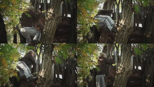 男孩爬上树屋高清在线视频素材下载