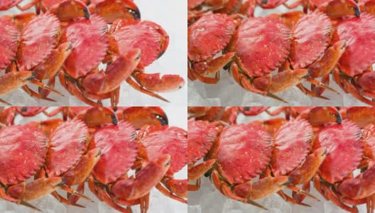 Cooked Crab高清在线视频素材下载