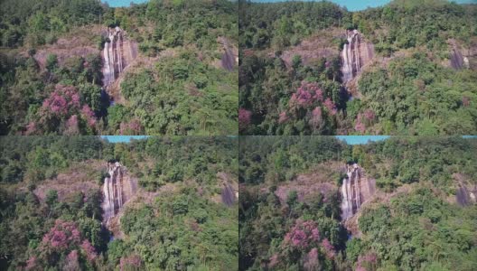 鸟瞰图上的瀑布在山顶粉红色的花樱花或樱(樱花泰国)在泰国北部。高清在线视频素材下载