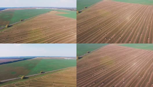 飞行在作物小麦或黑麦地与秸秆草捆。收获农业农场农村空中全高清视频背景。面包生产观念高清在线视频素材下载