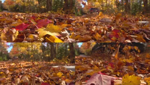 慢镜头:汽车行驶在色彩斑斓的森林道路上，秋叶灿烂高清在线视频素材下载