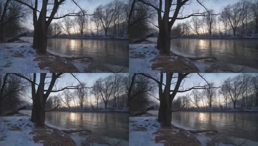 宁静的早晨与日出在河岸上的树木多莉拍摄高清在线视频素材下载