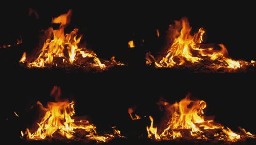 篝火在夜晚。燃烧着的木头发出橙色的火焰高清在线视频素材下载