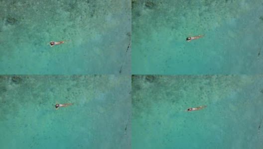 鸟瞰图一个迷人的女人在比基尼漂浮在水晶清澈的海洋。一个美丽的女孩在印度洋游泳高清在线视频素材下载