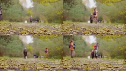 退休的人们北欧漫步在秋天的公园森林。北欧步行是一种有特殊设计杆的健身步行。促进健康的体育活动。脚踩在秋叶上。秋天的城市森林公园，落在地上的枫叶高清在线视频素材下载