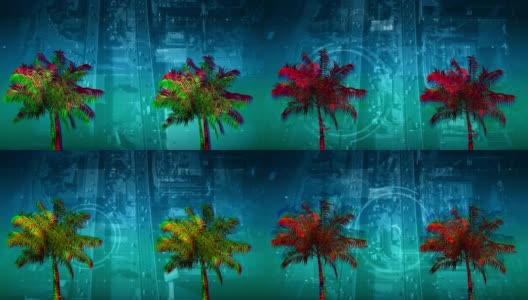 色彩斑斓的棕榈树高清在线视频素材下载