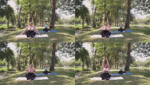 正面:健康年轻的大身材女性和朋友在户外公园练瑜伽高清在线视频素材下载