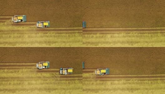 鸟瞰图联合收割机在稻田中的作业。高清在线视频素材下载