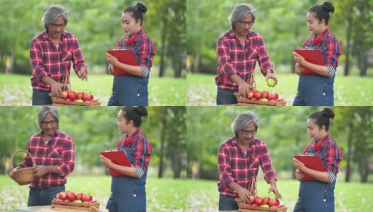 一对亚洲资深夫妇在苹果农场一起工作高清在线视频素材下载