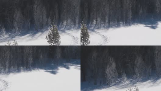 雪地里的一条小路高清在线视频素材下载