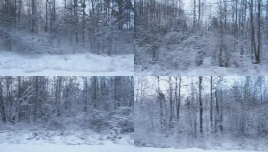 积雪的冬天道路在松树和桦树森林。风景和空旷的公路穿过冬天的森林。汽车在道路上超速行驶。侧窗视图的汽车在运动。旅游与旅游、旅行的概念。高清在线视频素材下载