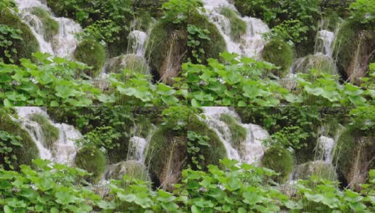 山上有瀑布和森林溪流。山溪特写高清在线视频素材下载