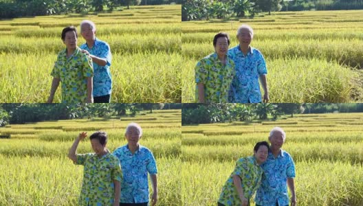 一段亚洲老年情侣在稻田前拥抱的视频。在早晨的阳光下旅行高清在线视频素材下载