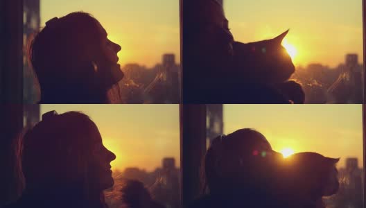 一名年轻女子戴着耳机，和她可爱的缅因猫在日落时的窗口放松，模糊的城市背景高清在线视频素材下载
