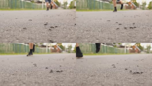 跑步的人。沥青上的蚂蚁。缓慢的运动。宏高清在线视频素材下载