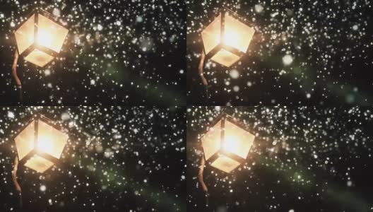 冬夜路灯与飘落的雪高清在线视频素材下载