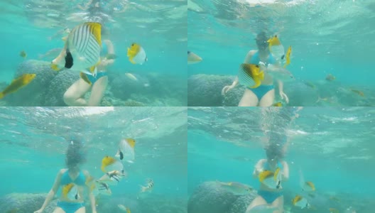 水下:一名年轻女子戴着黑色面具在珊瑚礁附近喂五颜六色的鱼高清在线视频素材下载