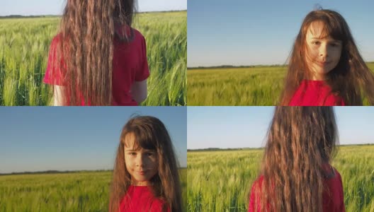 麦田里快乐的孩子高清在线视频素材下载