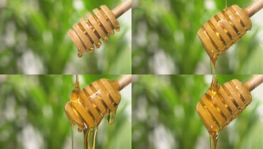 (实时)蜂蜜从带有拷贝空间的木制蜂蜜勺中流出高清在线视频素材下载