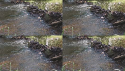 河水从石头中流过。慢动作镜头高清在线视频素材下载