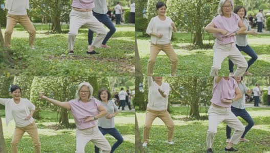 退休中国妇女在公园里打太极高清在线视频素材下载
